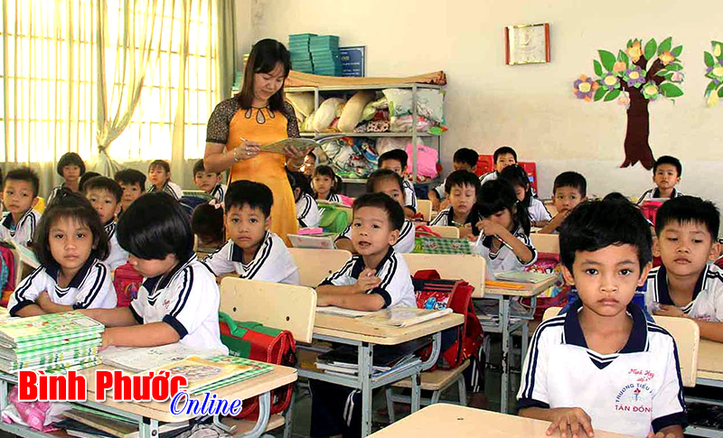 Hiệu ứng từ việc đánh giá học sinh tiểu học (Bài 2)