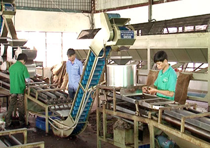 Giải pháp khắc phục thiếu lao động trong ngành điều Giải pháp khắc phục thiếu lao động trong ngành điều