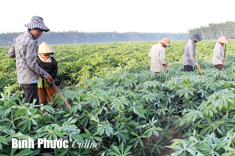 Giải pháp thực hiện thu, chi ngân sách phải mang tính khả thi Giải pháp thực hiện thu, chi ngân sách phải mang tính khả thi
