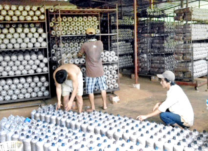 Giàu nhờ trồng nấm bào ngư