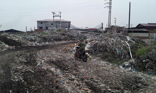 giay-503112014020328.jpg