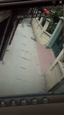 gif-11-1480862499493.gif