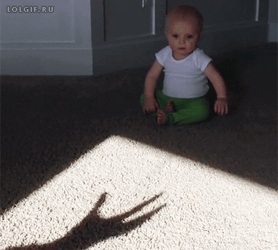gif-15-1480862498196.gif