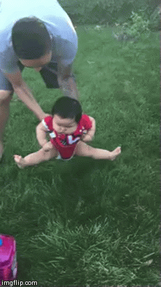gif-17-1480862502625.gif