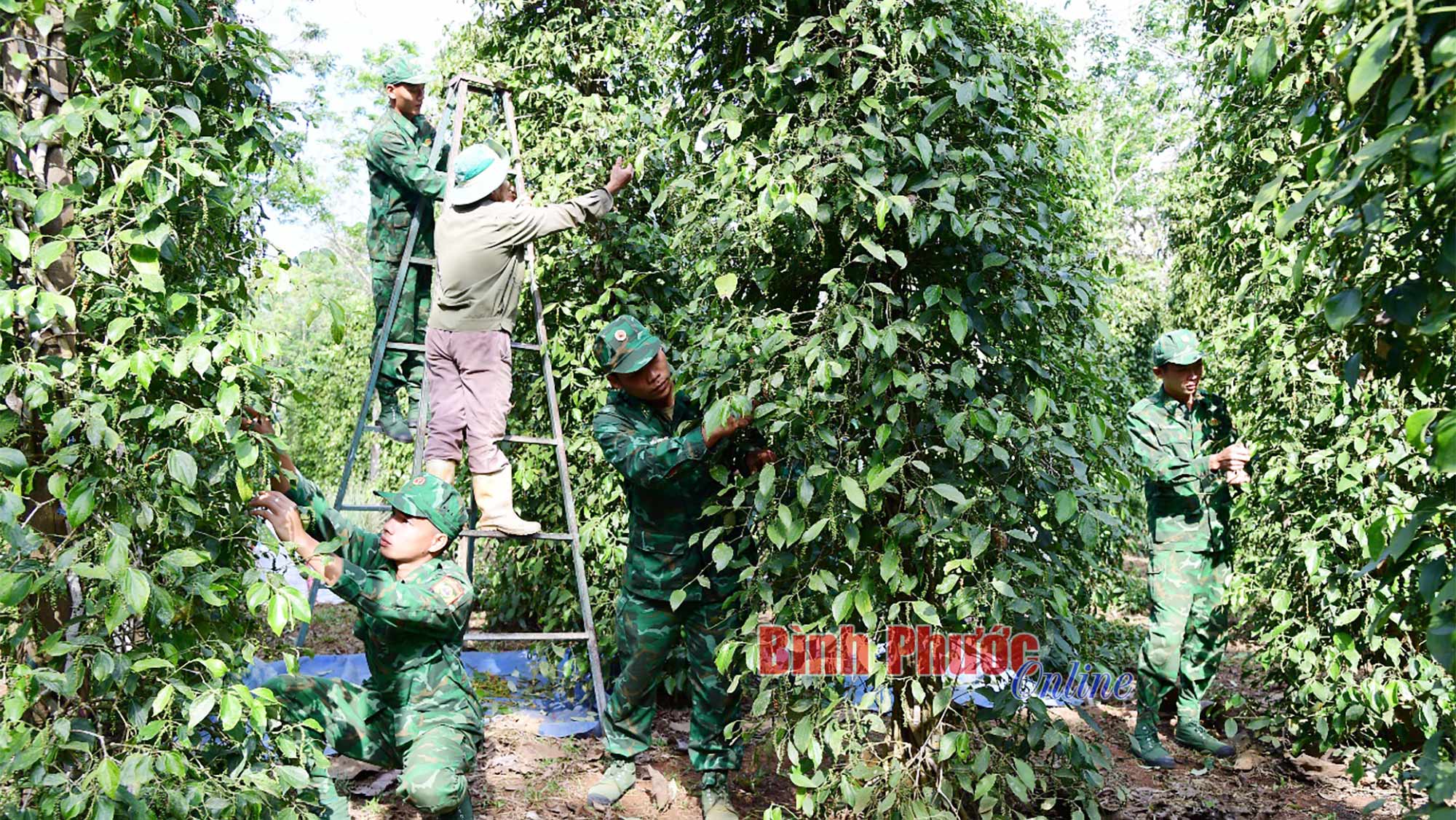 Giữ lòng dân, giữ biên cương Giữ lòng dân, giữ biên cương