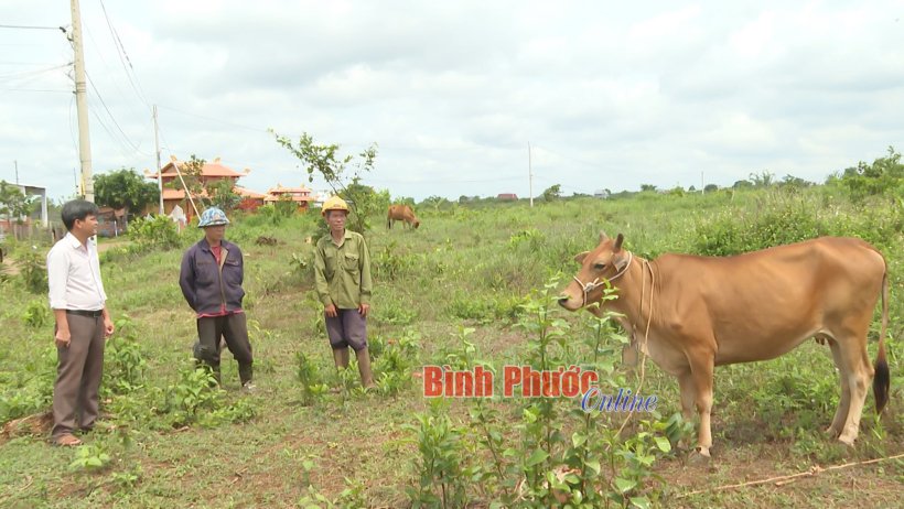 Giúp nhau phát triển kinh tế Giúp nhau phát triển kinh tế