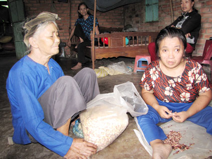 Nạn nhân chất độc da cam Hoàng Thị Thi mong được giúp đỡ Nạn nhân chất độc da cam Hoàng Thị Thi mong được giúp đỡ