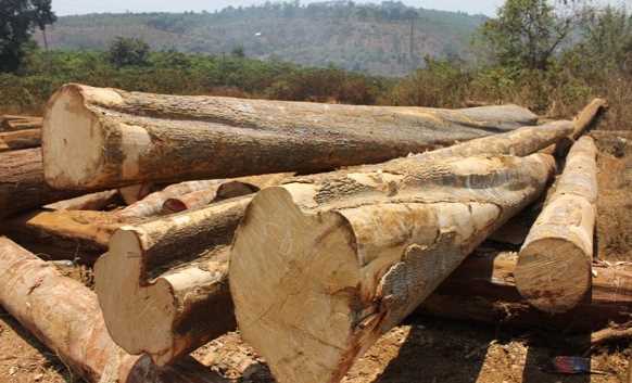 Bắt giữ 2 vụ buôn lậu