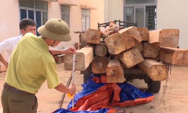 Bản tin 100 độ ngày 16-7: Nổ súng bắt giữ đối tượng vận chuyển gỗ lậu Bản tin 100 độ ngày 16-7: Nổ súng bắt giữ đối tượng vận chuyển gỗ lậu