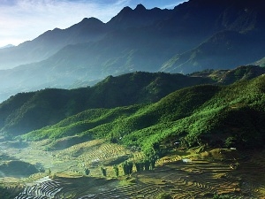 gocsapa.jpg