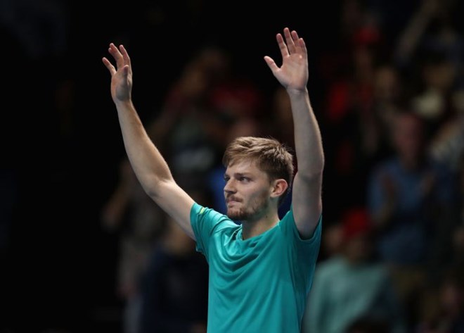 goffin1919112017020408.jpg