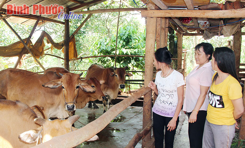 Góp 10 triệu đồng/năm giúp nhau phát triển kinh tế