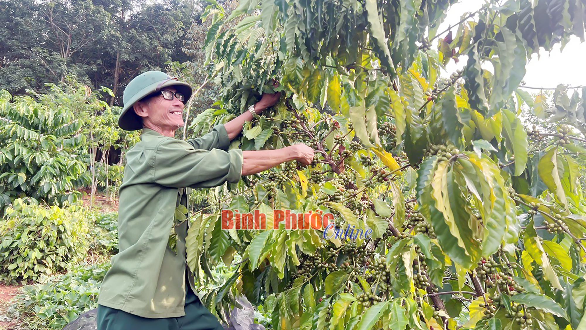Gương sáng cựu chiến binh
