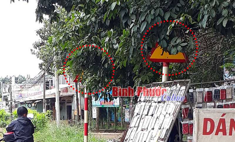 Biển báo gì?