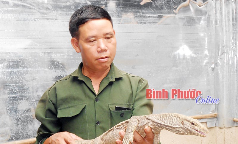 Vững tin với kinh tế tổng hợp