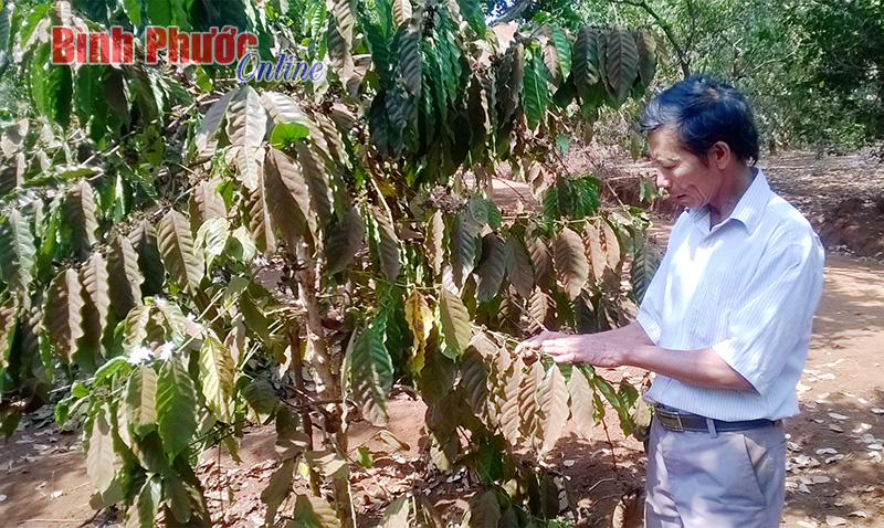Làm gì để chống chọi khô hạn? - Bài 1 Làm gì để chống chọi khô hạn? - Bài 1
