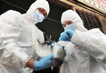 Hong Kong xác nhận ca nhiễm cúm H7N9 đầu tiên Hong Kong xác nhận ca nhiễm cúm H7N9 đầu tiên