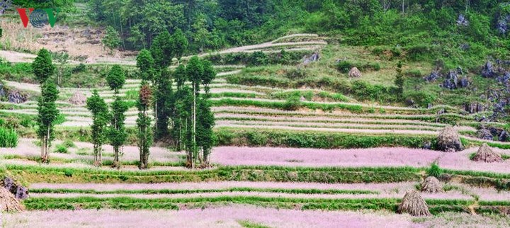 ha-giang-1022102018094128.jpg