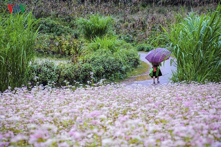 ha-giang-422102018094127.jpg