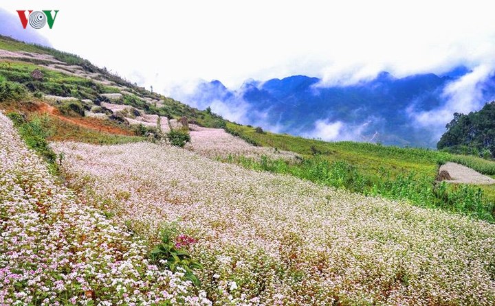 ha-giang-822102018094128.jpg
