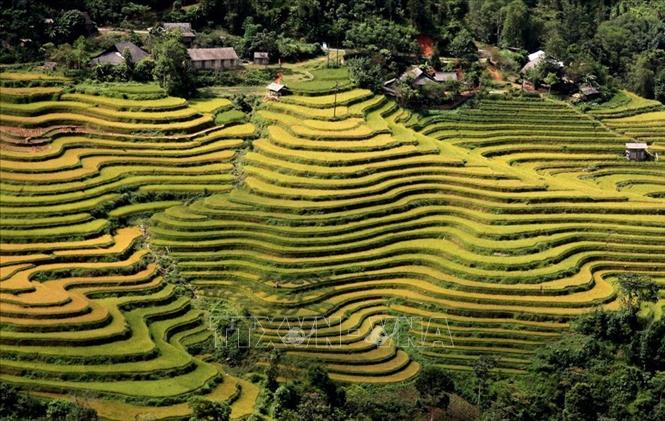 ha-giang111102019105239.jpg