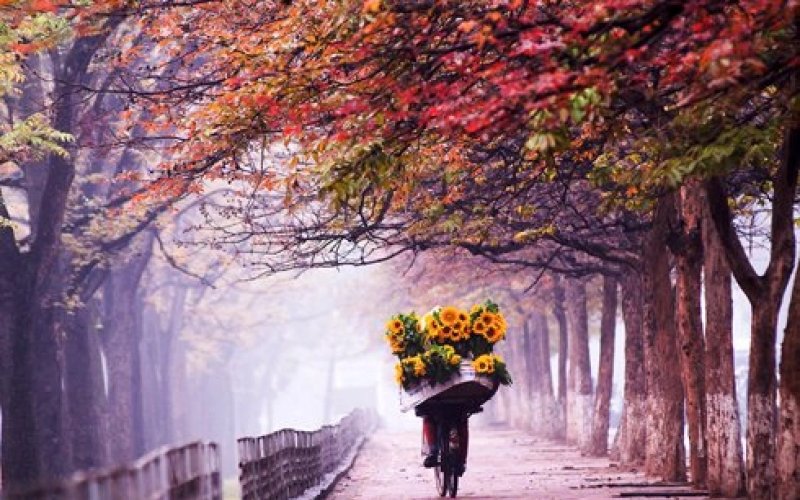 Hà Nội ngày tháng cũ Hà Nội ngày tháng cũ