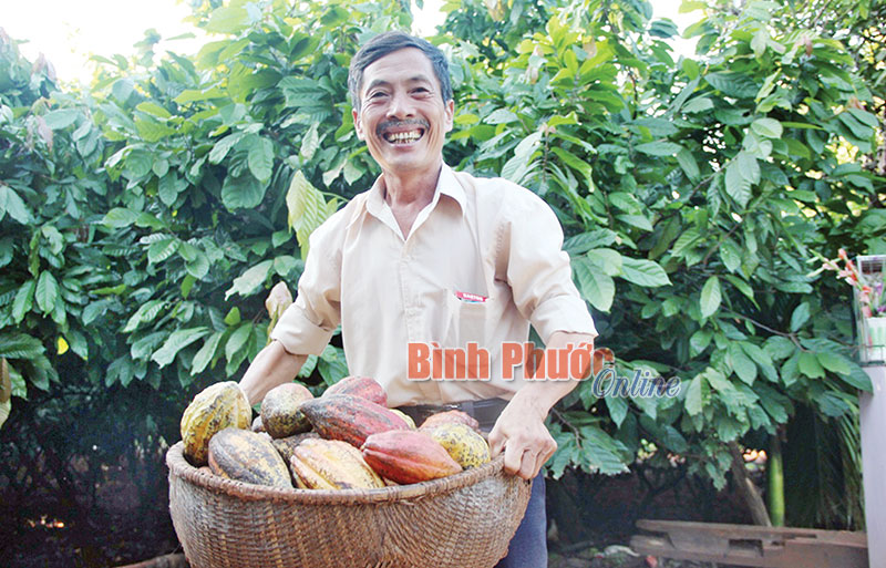 hailua1.jpg