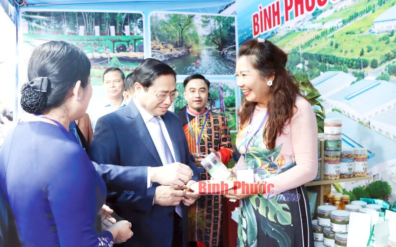 HAMY và tầm nhìn tương lai HAMY và tầm nhìn tương lai