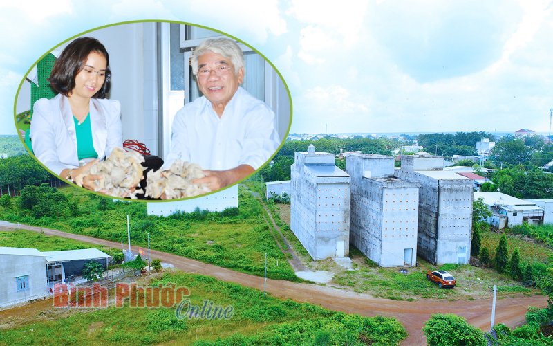 Hành trình đưa chim biển lên rừng Hành trình đưa chim biển lên rừng