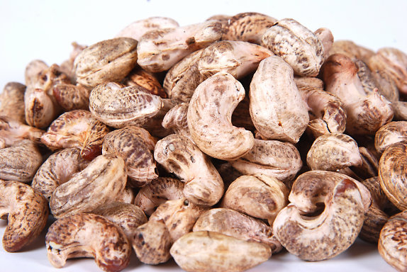 Cơ sở chế biến điều phát triển ở các tỉnh biên giới Trung Quốc Cơ sở chế biến điều phát triển ở các tỉnh biên giới Trung Quốc