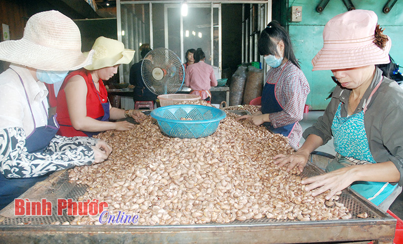 Kim ngạch xuất khẩu của tỉnh đạt 738,5 triệu USD Kim ngạch xuất khẩu của tỉnh đạt 738,5 triệu USD