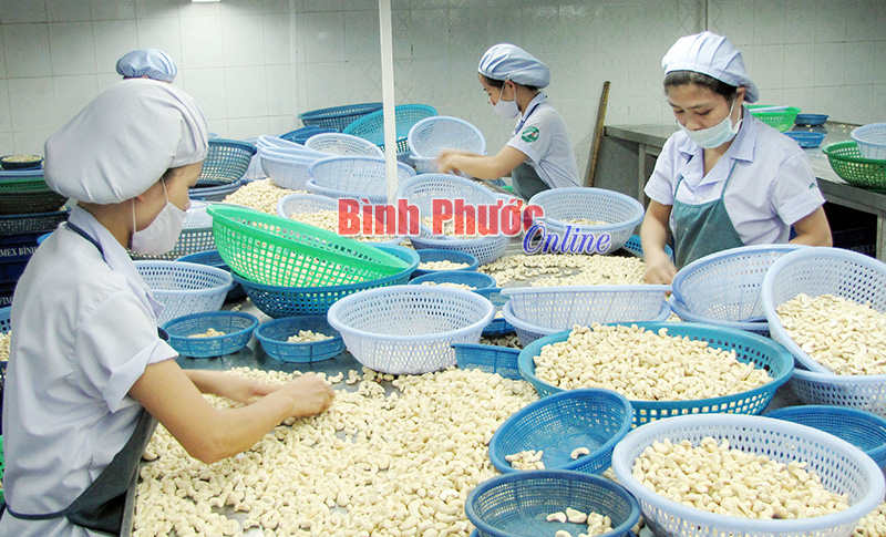 Tiền lương tháng làm căn cứ đóng BHXH, BHYT, BHTN Tiền lương tháng làm căn cứ đóng BHXH, BHYT, BHTN