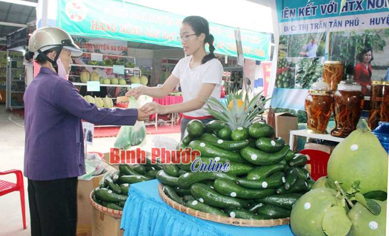 Hội chợ trái cây và hàng nông sản lần thứ IV có quy mô 200 gian hàng Hội chợ trái cây và hàng nông sản lần thứ IV có quy mô 200 gian hàng