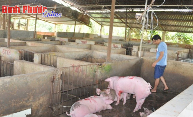Tăng cường công tác phòng, chống dịch bệnh năm 2011 Tăng cường công tác phòng, chống dịch bệnh năm 2011