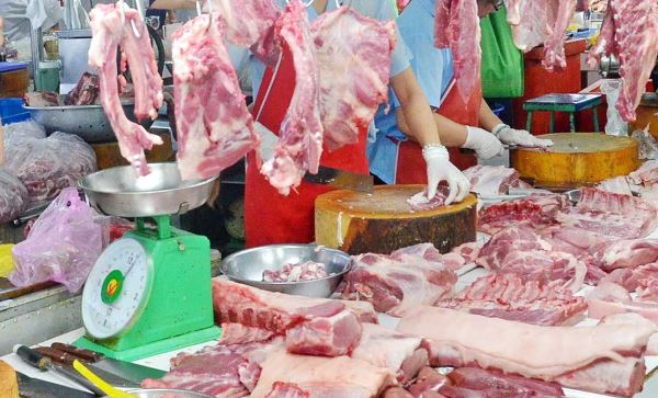 Giá heo giảm giữa mùa dịch Covid-19 Giá heo giảm giữa mùa dịch Covid-19