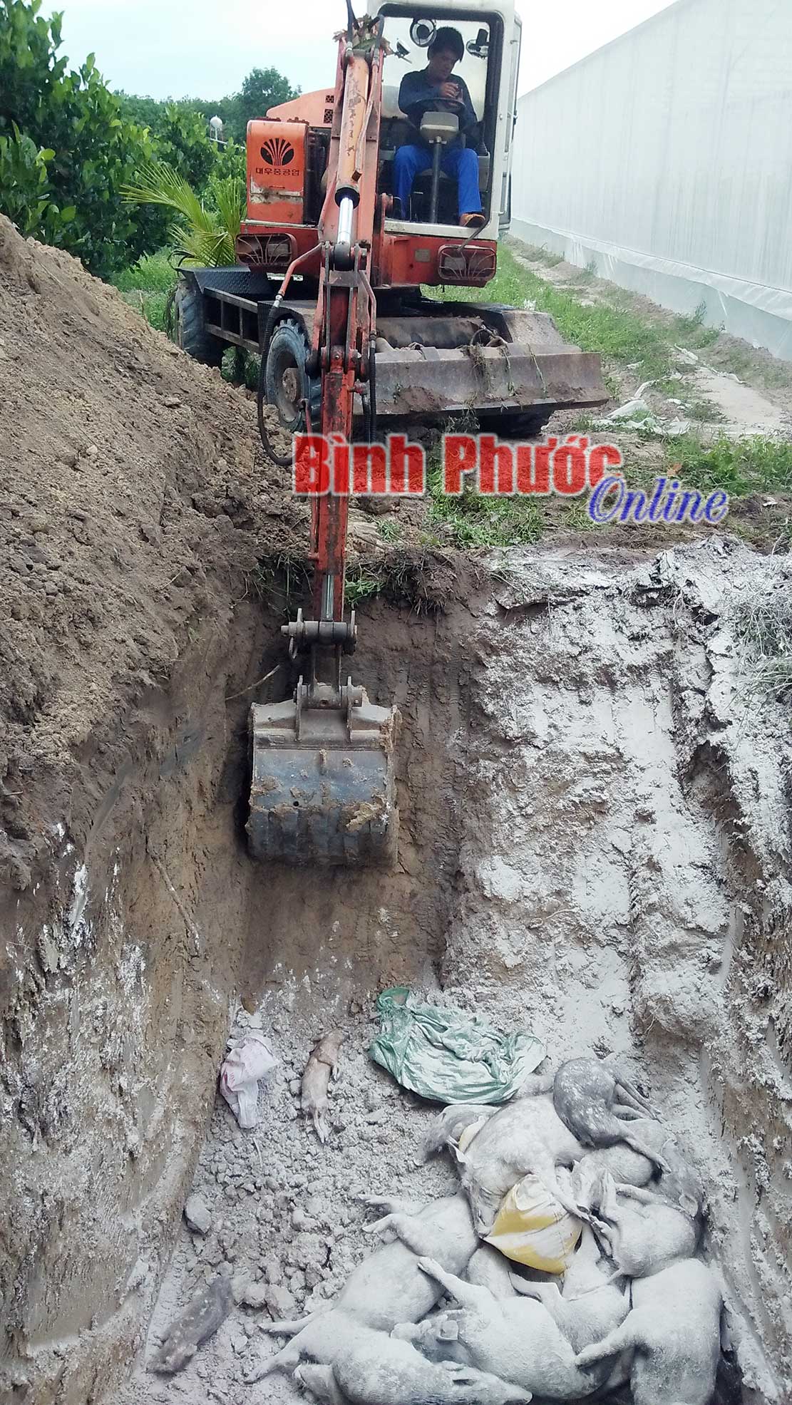heo215072019105030.jpg