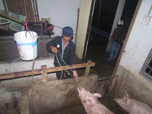 heobomnuoc01.jpg