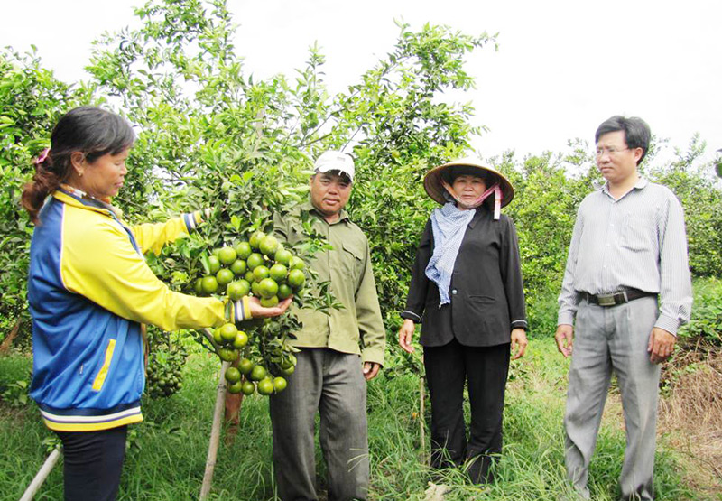 Hiệu quả cao từ các mô hình kinh tế ở Tân Thành Hiệu quả cao từ các mô hình kinh tế ở Tân Thành