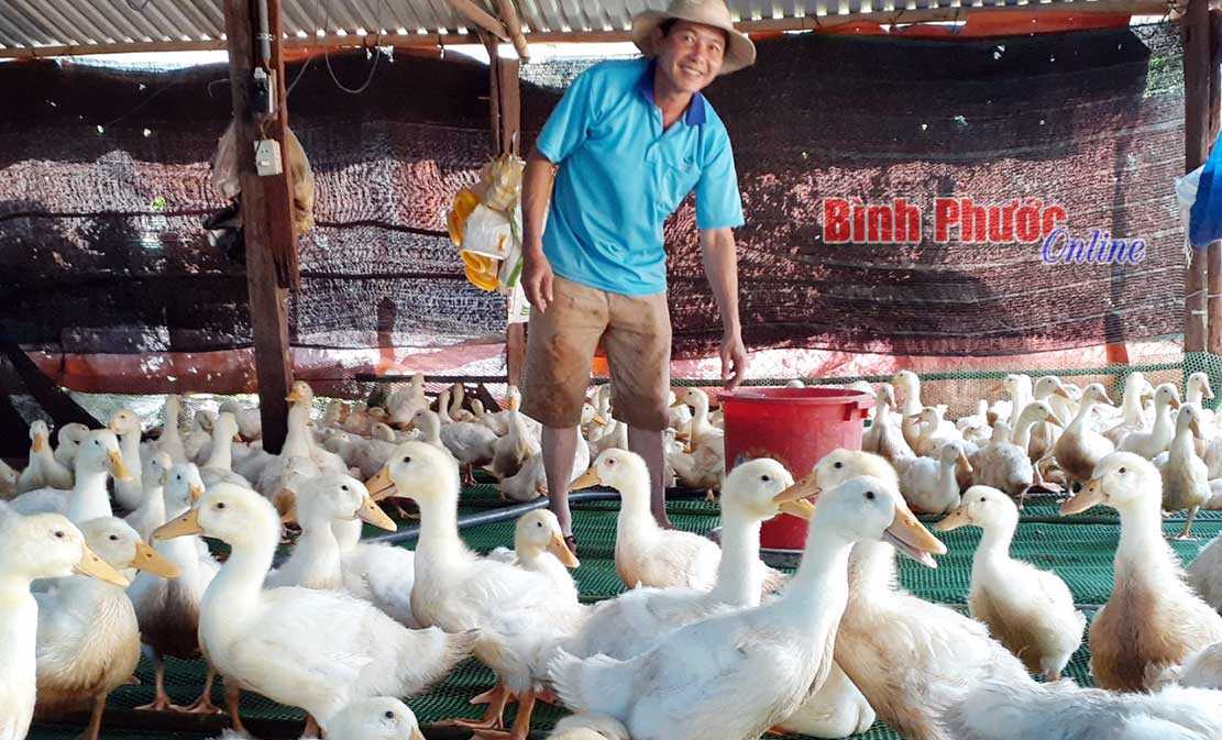 Thêm hướng đi cho nông dân Lộc Ninh