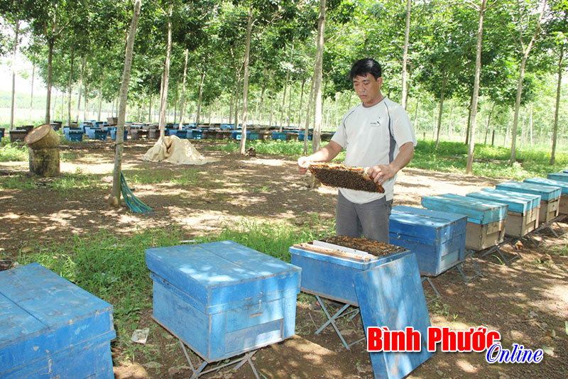 hinh-ong-trang-5.jpg