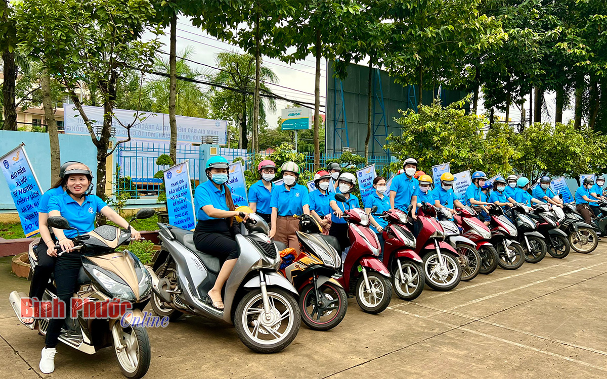 hinh4_10232210072022.jpg
