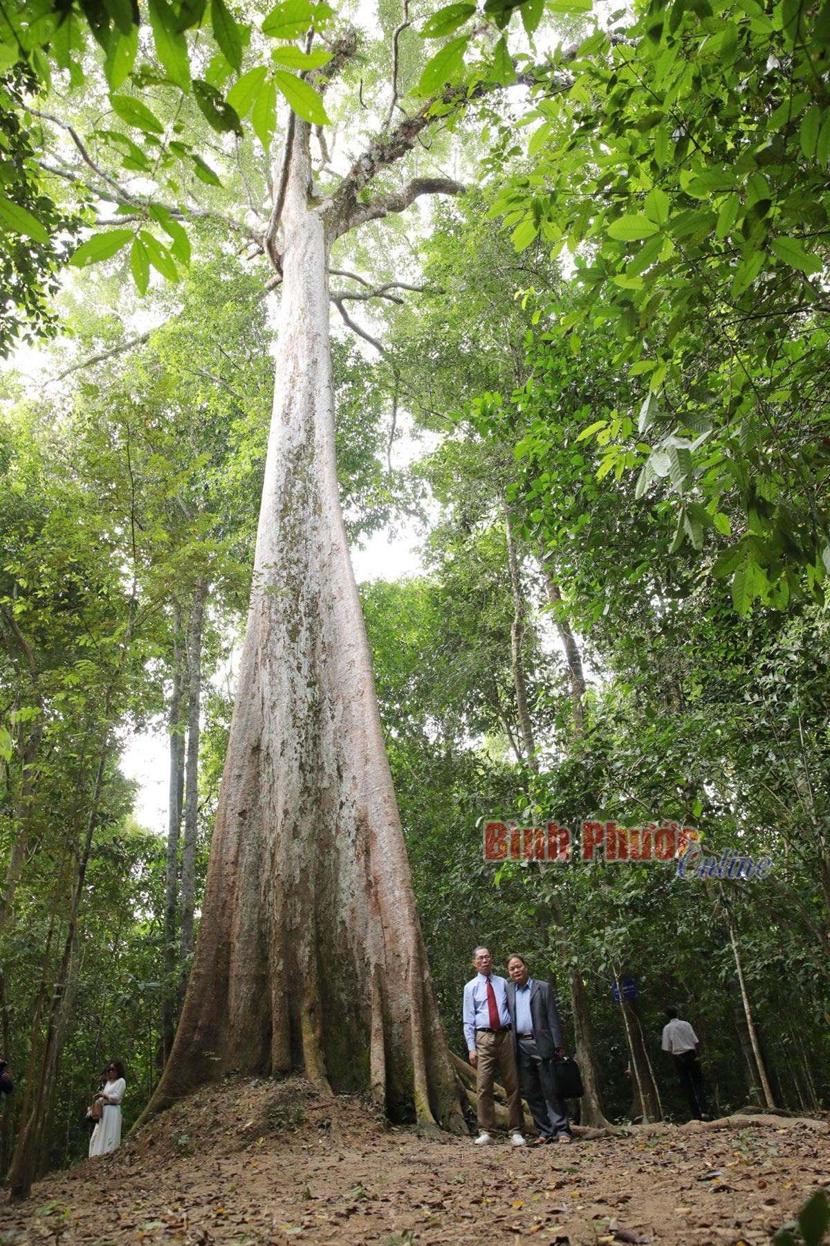 hinh_1_cong_09183309122023.jpg