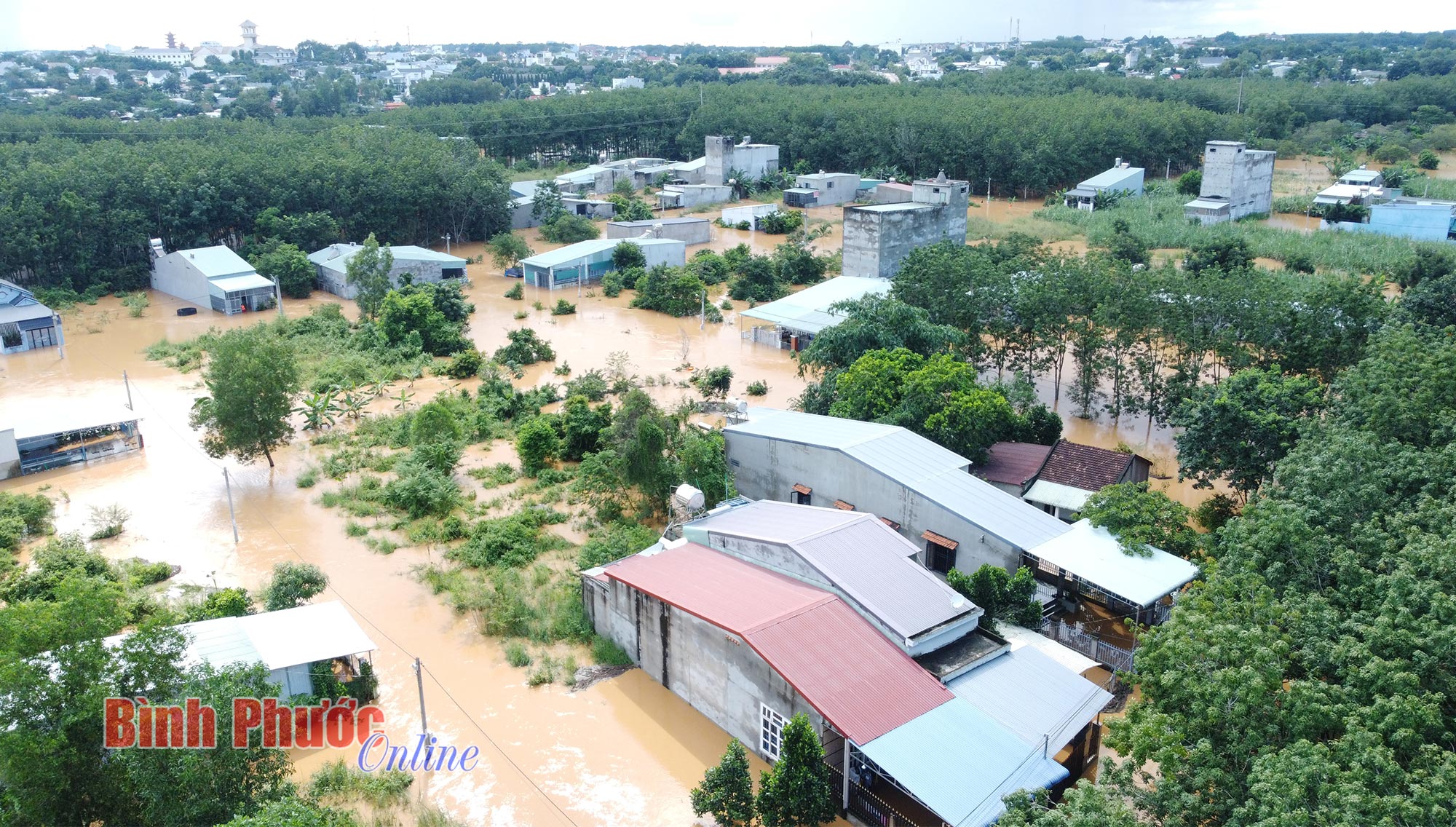 hinh_1_ngap_dong_tien_16232403102023.jpg