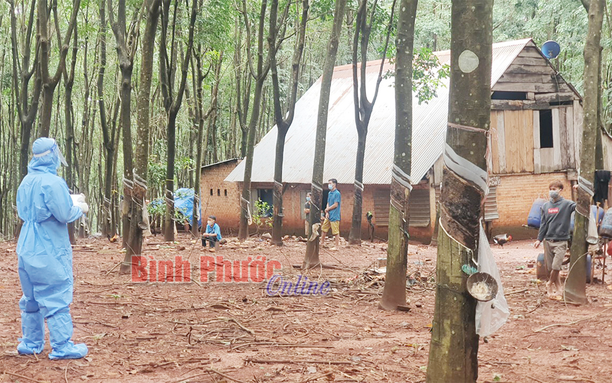 hinh_1_ruy_vet_08353613092021.jpg