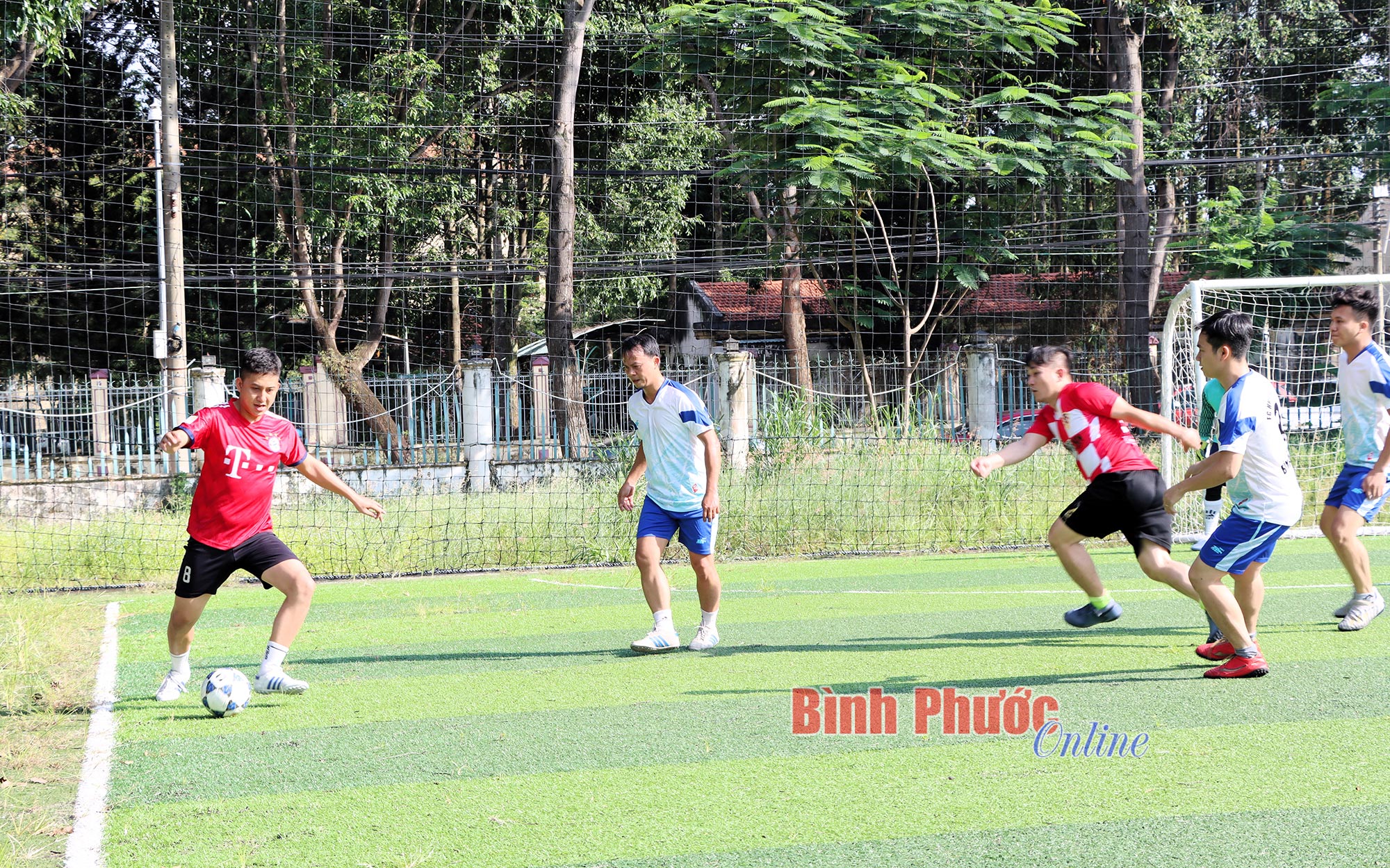 hinh_2_pha_bong_19570511082023.jpg