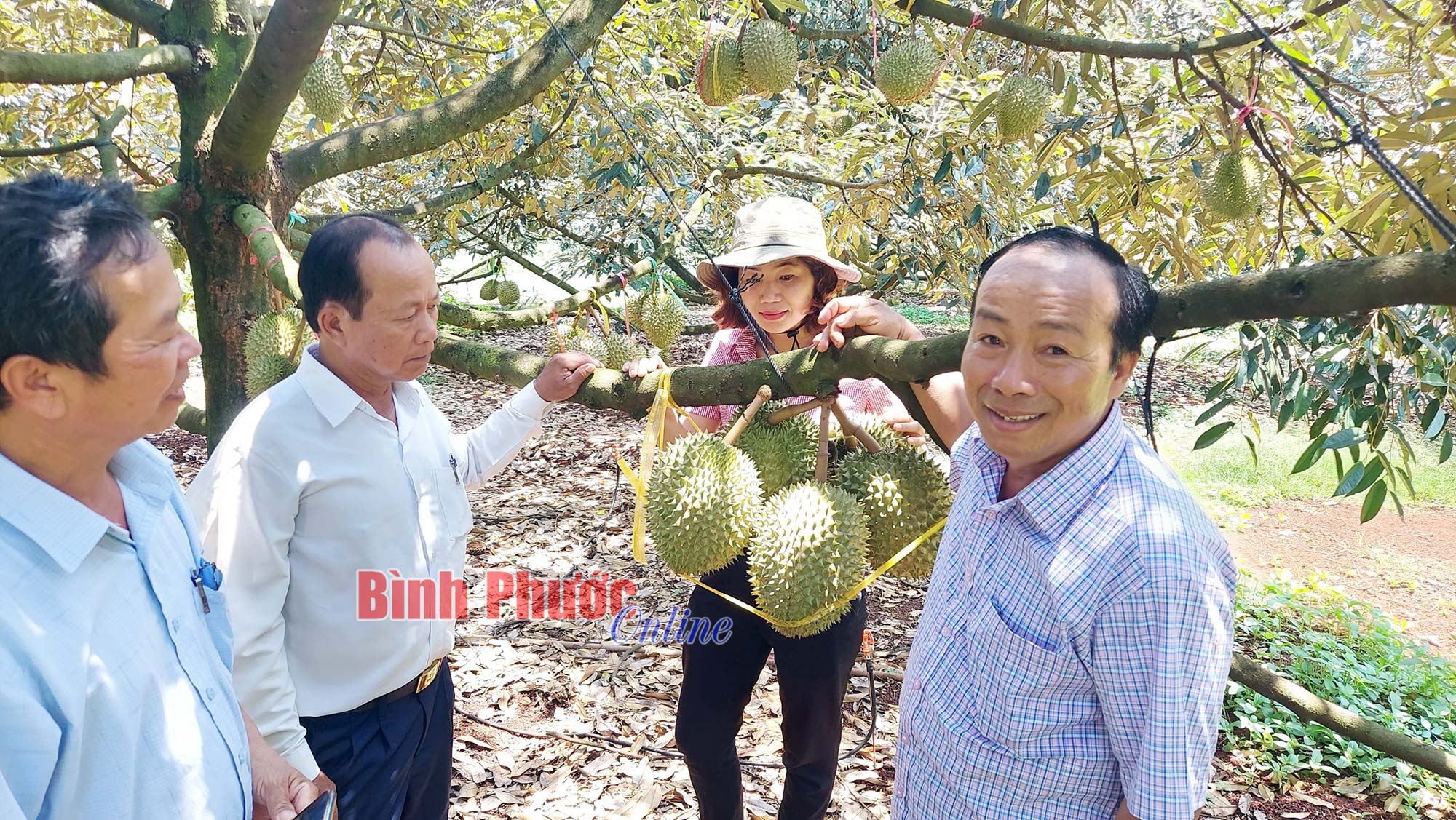 hinh_3_18053203062023.jpg