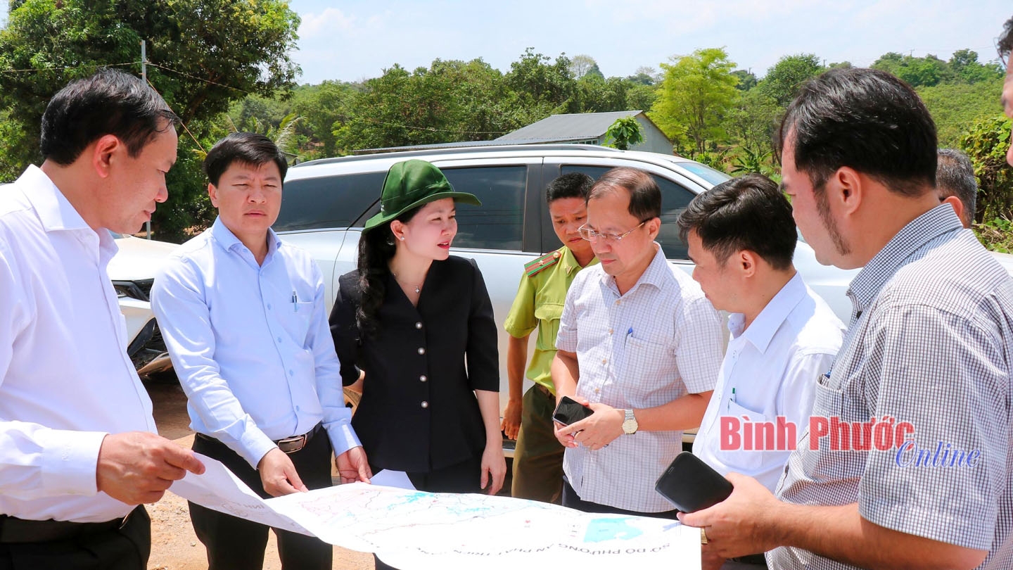 hinh_3_btks_16514214032025_17214914032025.jpg