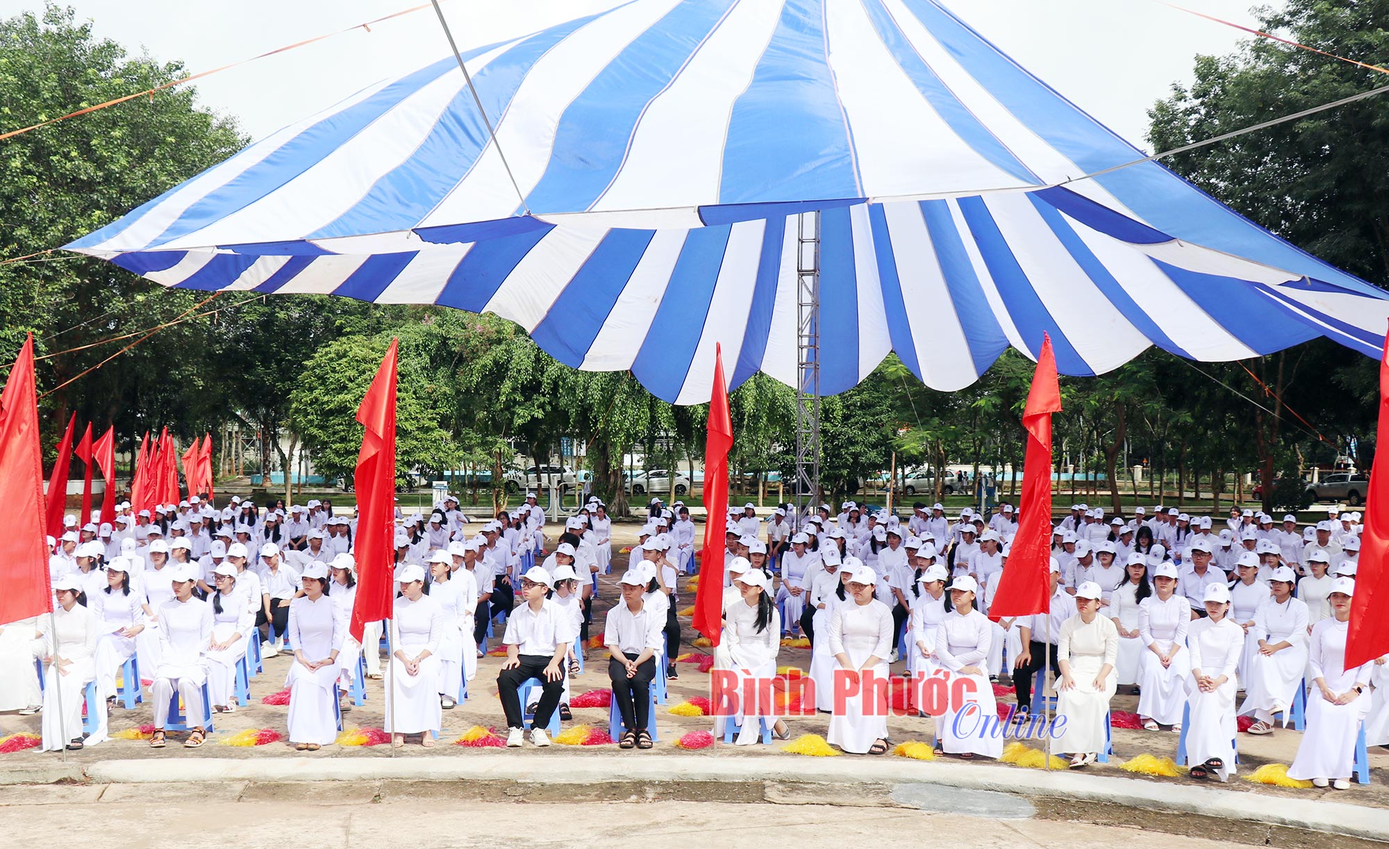 hinh_3_chuyen_bl_11534005092023.jpg
