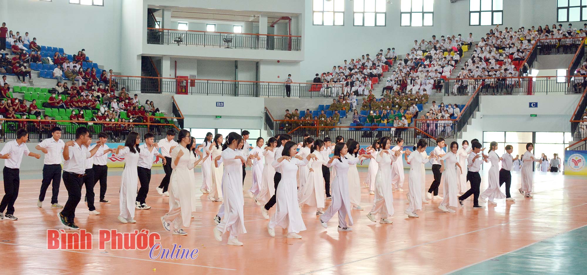 hinh_8_10485831102022.jpg