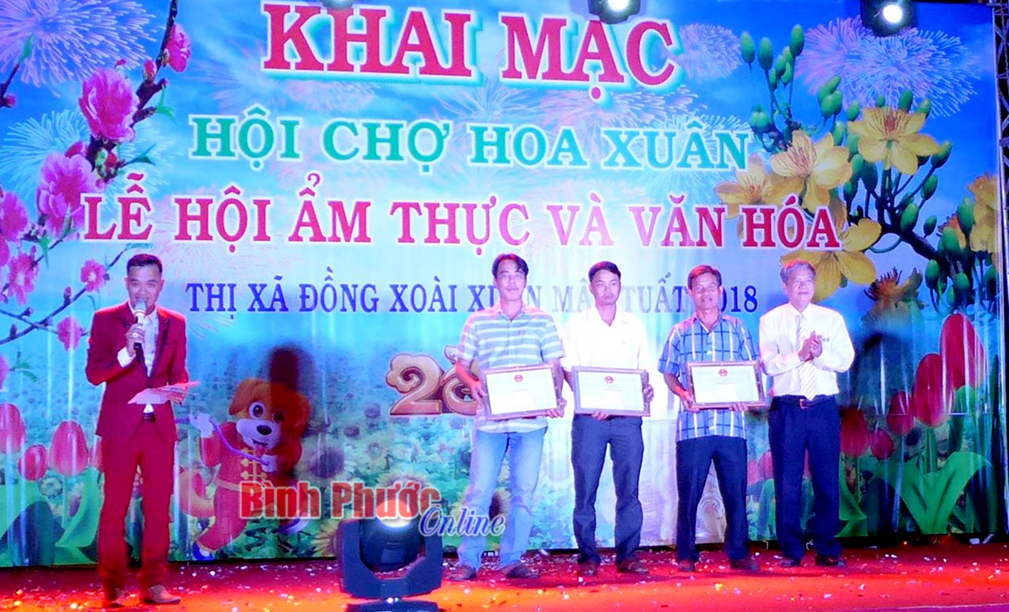 hinhoichohoaxuan09022018111331.jpg
